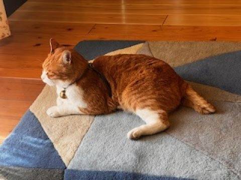 本日より宜しくお願い致します