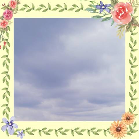 今日は…