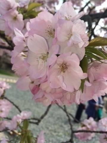 今週もありがとうございました
