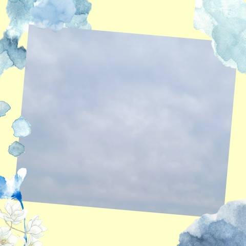 今日は…♪