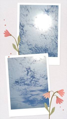 今日は…