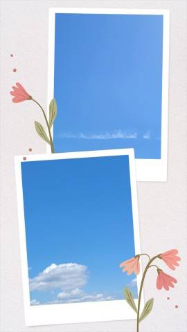 今日は…