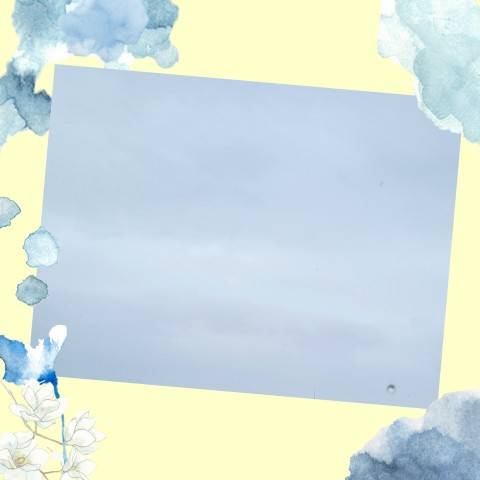 今日は…