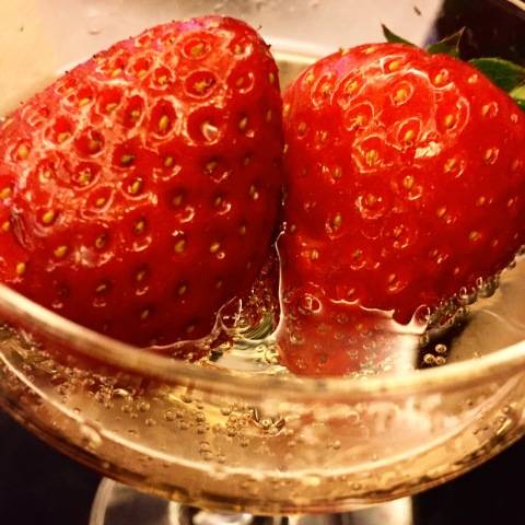 こんにちは！
