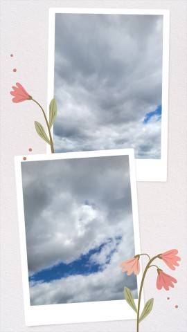 今日は…