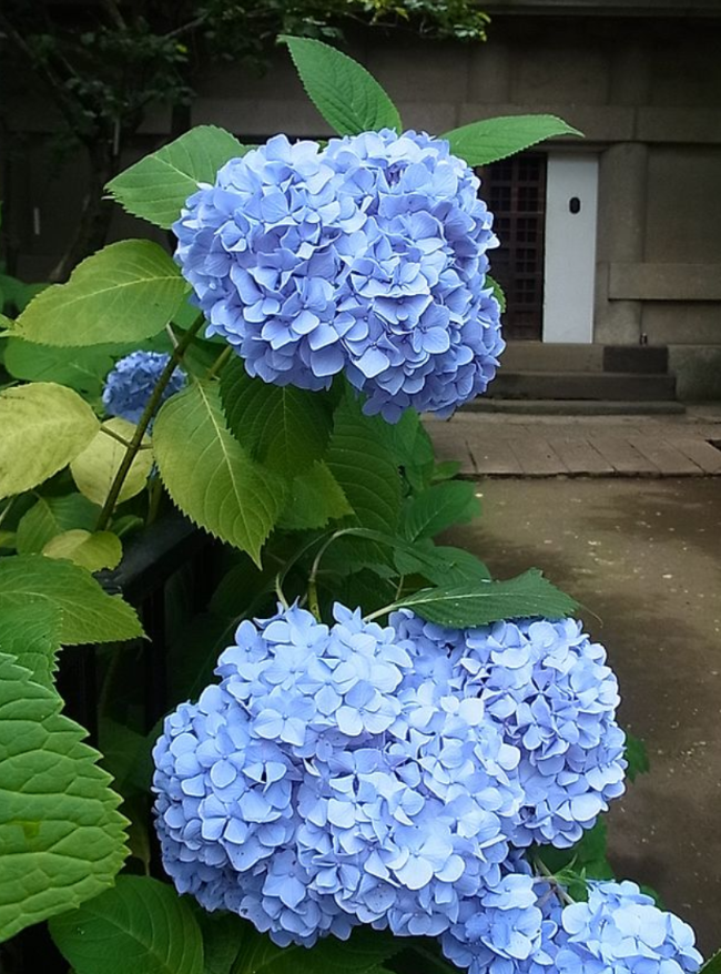Yさまへ