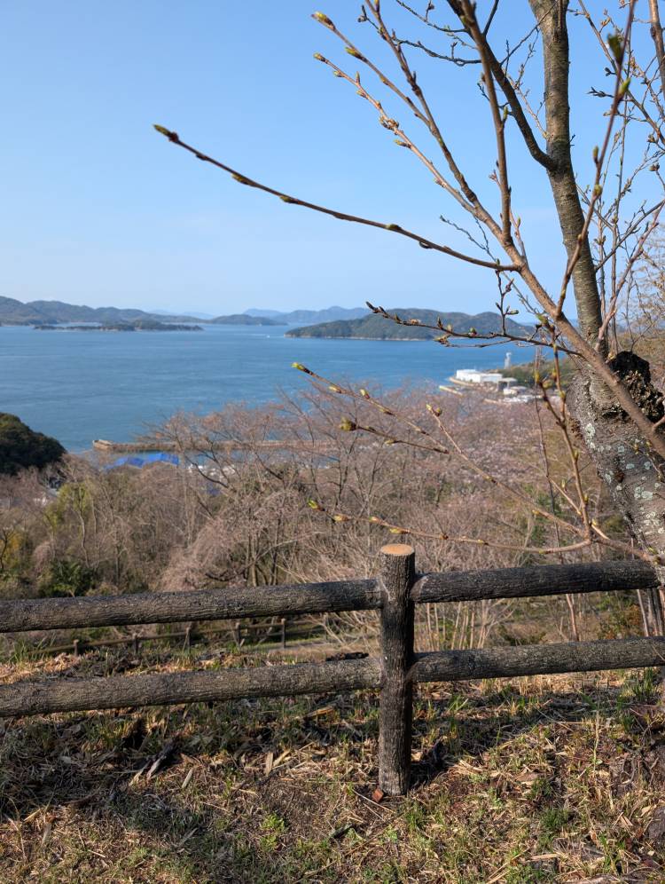 出勤しま～す