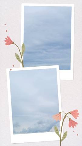 今日は…