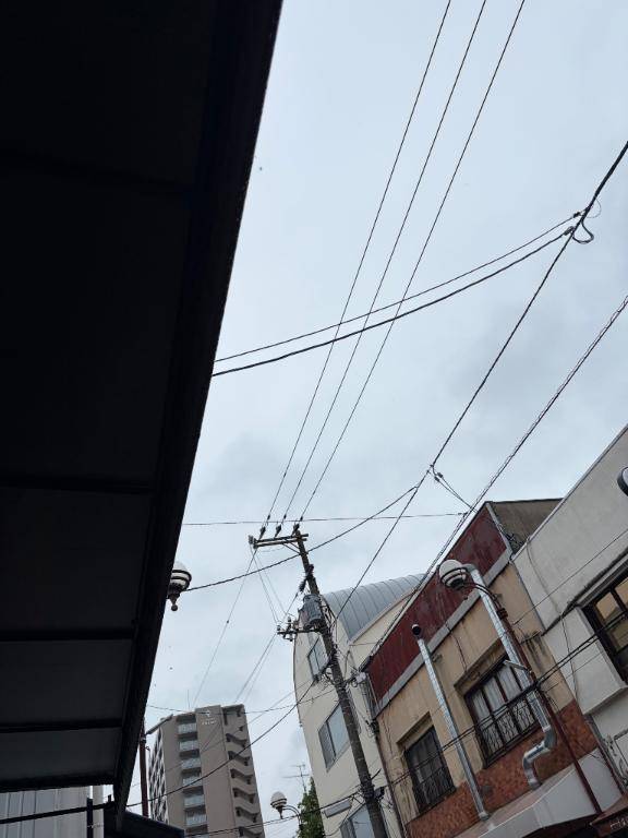 おはようございます♪