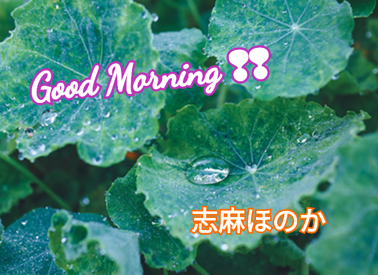 出勤しまぁす?