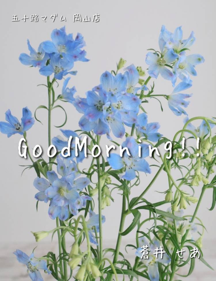 今日