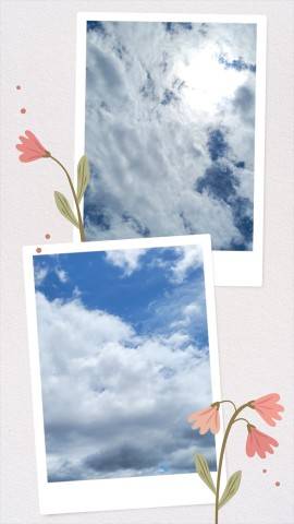今日は…