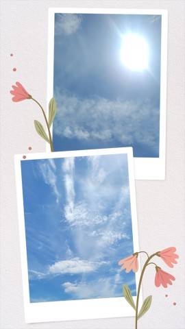 今日は…