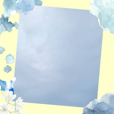 今日は…