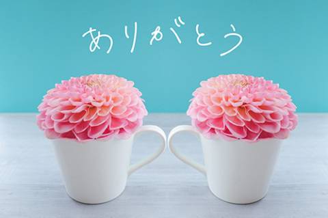 アラジンのHさまへ