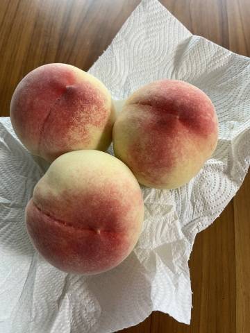 桃