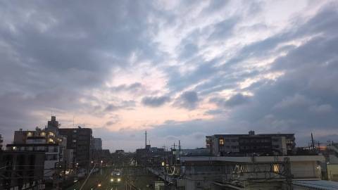おやすみなさい