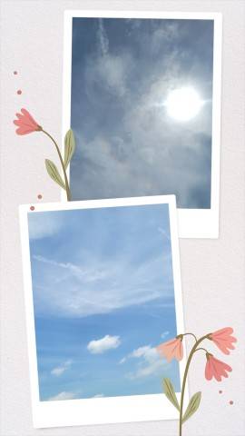 今日は…