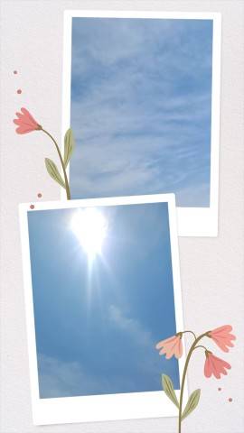 今日は…