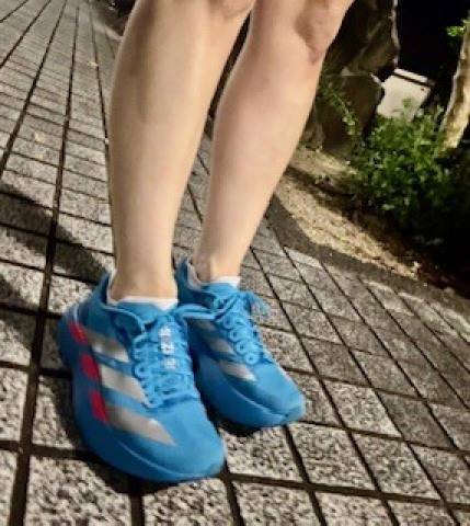 ここは　どこ？