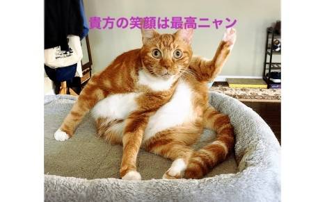 お誘い頂いたT様^ ^