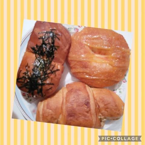 兼用(*´∀`)