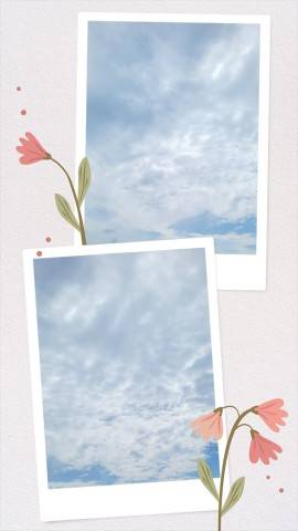 今日は…