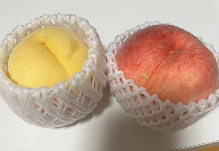 ありがとうございました^_^