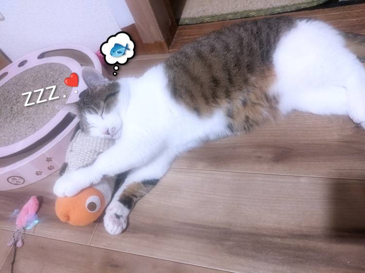 ボク　ドラえもん