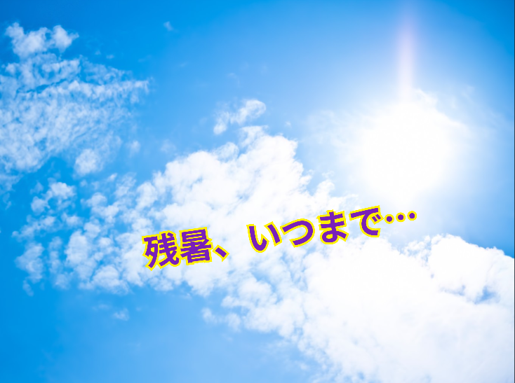 出勤しました♪