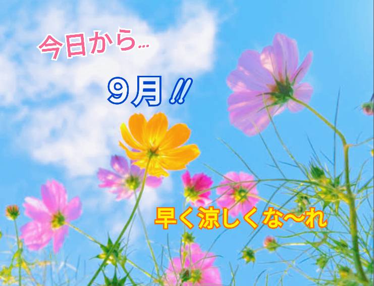 おはようございます