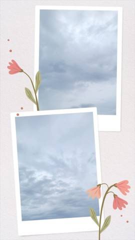 今日は…