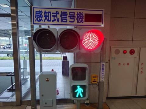 思ってたんと違う??????