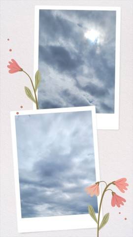 今日は…