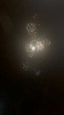 今年初めての花火