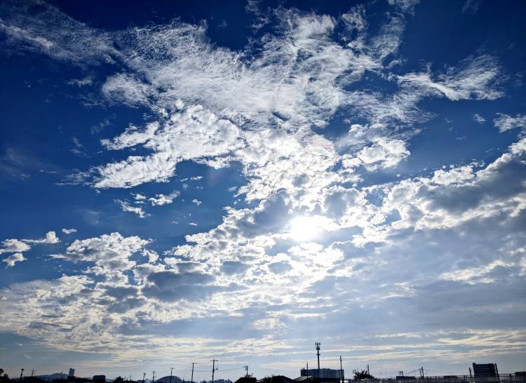 今朝の　雲