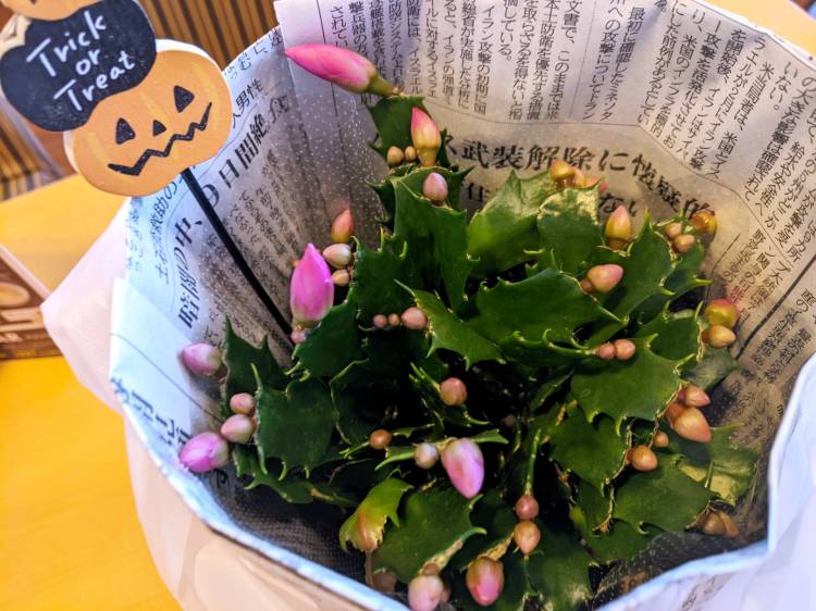 こんにちは