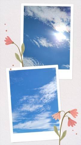今日は…