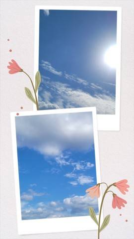 今日は…
