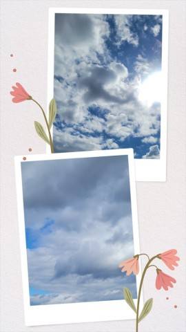 今日は…