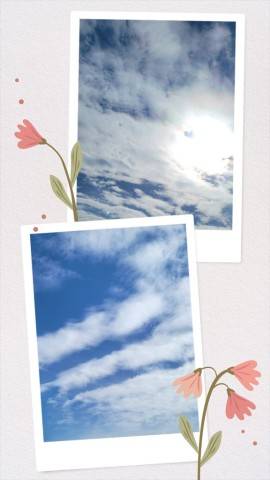 今日は…
