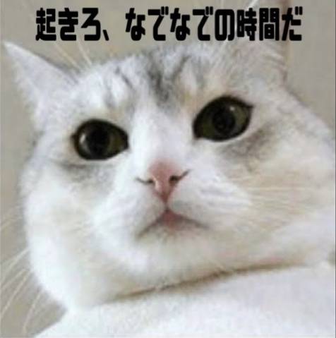 ご予約いただきましたＭさま