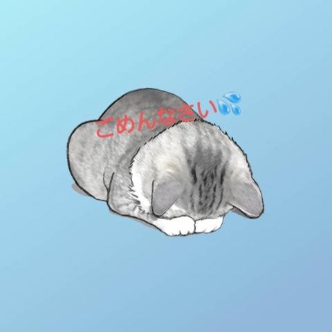 ごめんなさい?