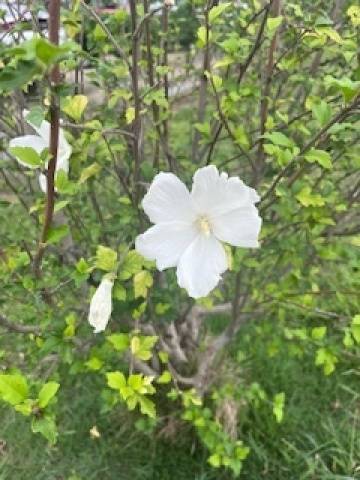 今日一日がんばれ??