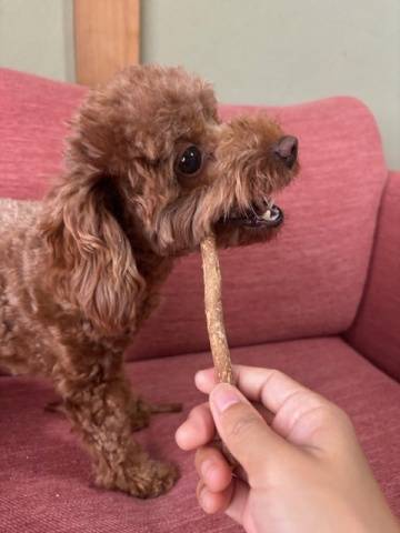 ハプニング！