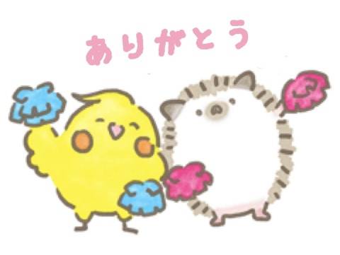 はなみずきのMさま