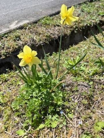 お気に入りに登録