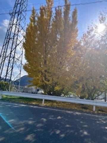 気持ちいい(´∀｀)