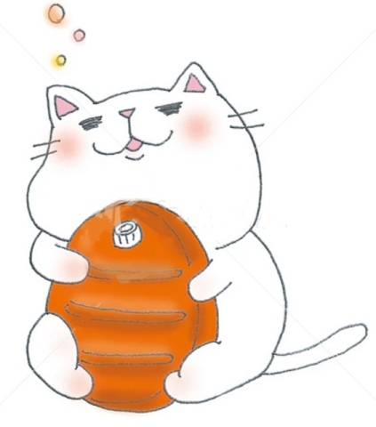 キャッスルのＳさま