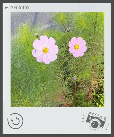 ☆こんにちは(^^)☆